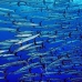 barracuda_blackfin_er_v_0705_png1126.jpg